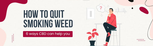 CBD and alcohol: Does CBD help cure alcoholism?