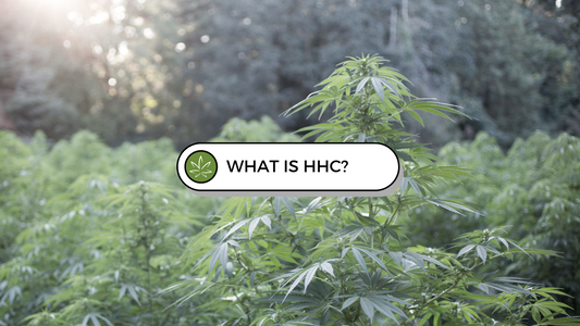 What is HHC?