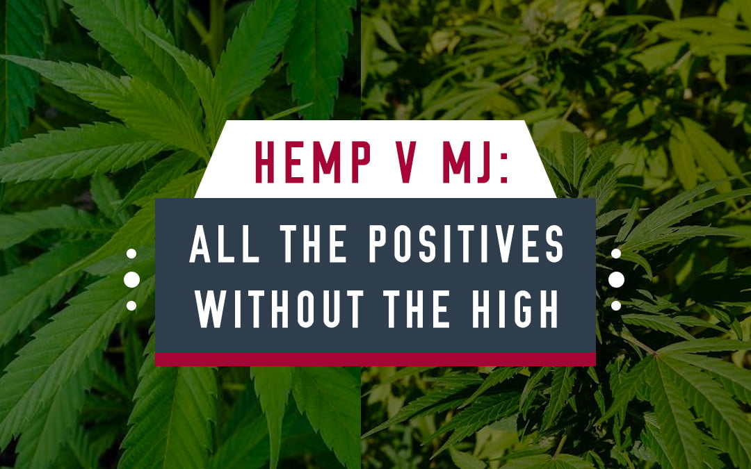 The Difference Between Hemp & Marijuana