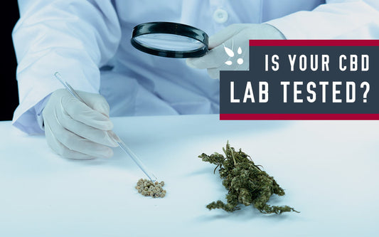 Your Guide to CBD Lab Reports